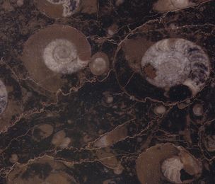 Granit-Mramor537